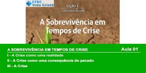 A sobrevivência em tempos de crise